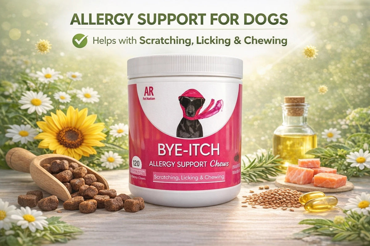Bye-Itch Allergy Support Chews for Dogs – Chicken Flavored, 120 Soft Chews
